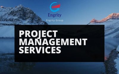 Engrity Group: Project Management Services